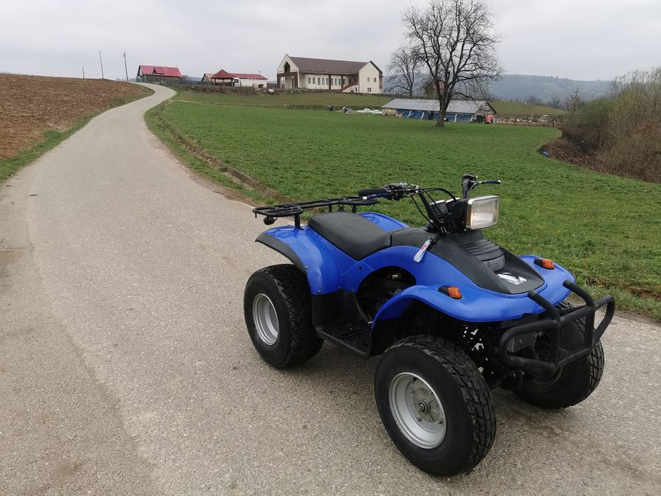 Atv eton 150cc automat cu acte