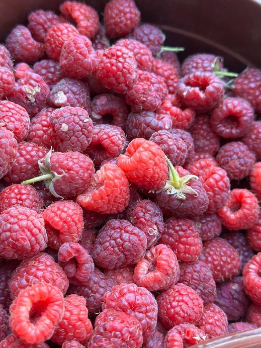 Malina, Smarodina, shotut, Kirojonik