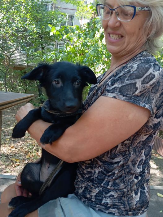 Звоночек Стерильная девочка