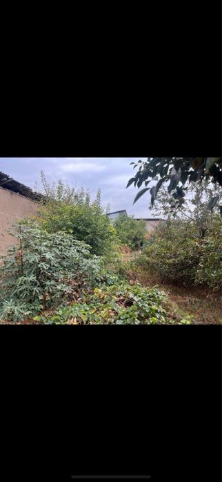 Срочно !!Продается Участок в Дурмене  6 сотков