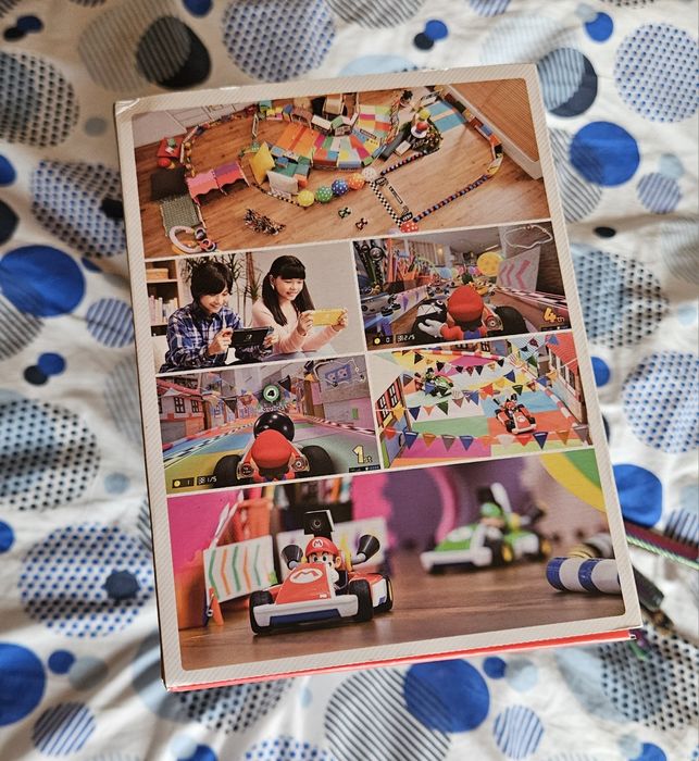 Mario kart live home circuit