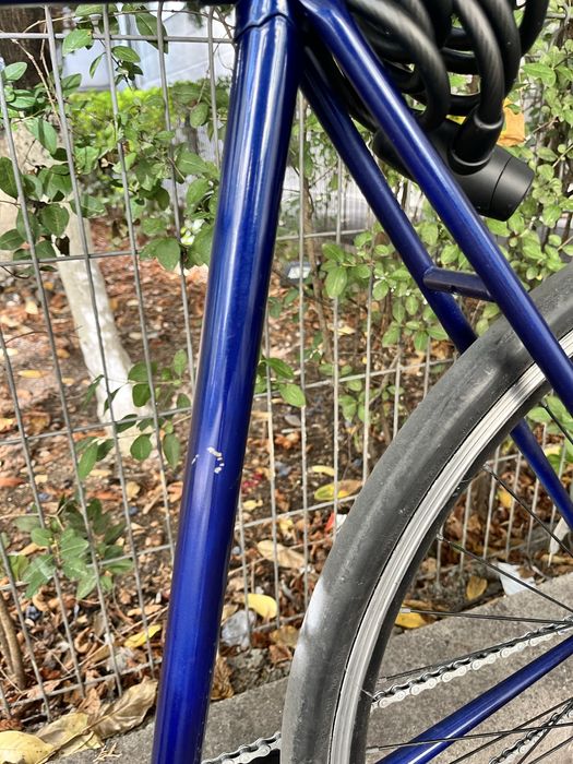 Bicicleta Fixed Gear (Fixie)