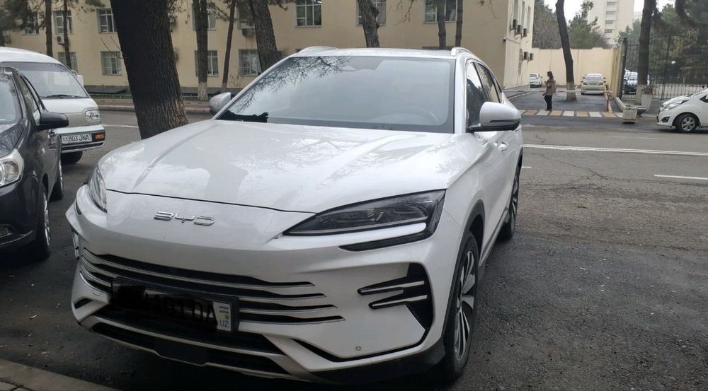 BYD Song Plus DM-i Champion 2024 — 2