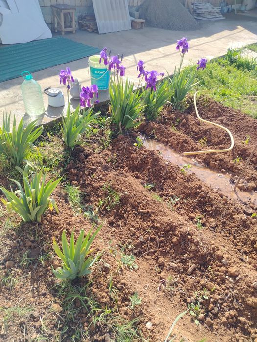 Uy sotiladi to'labe oq tom 3.5 sotix