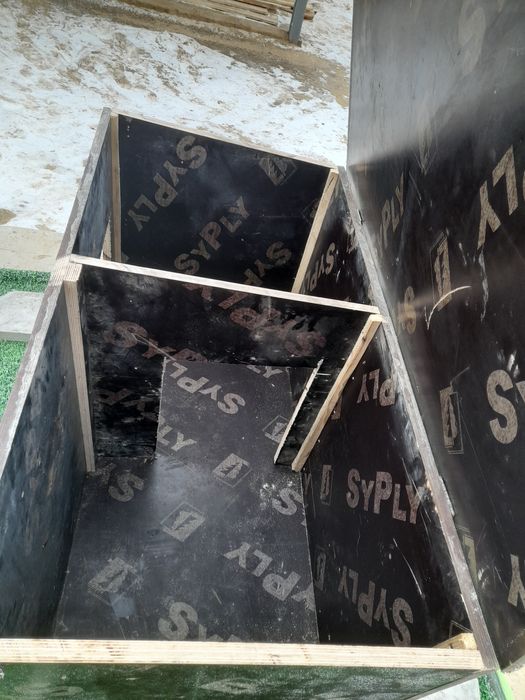 Иттің ұйымы салылады