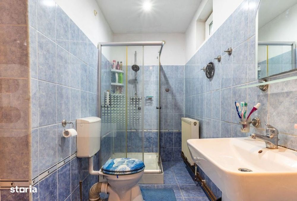 Casa 3 camere, curte si gradina, teren 765 mp, garaj, Micalaca, front