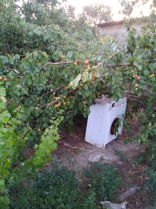 Дача в сабалаке возле трассы