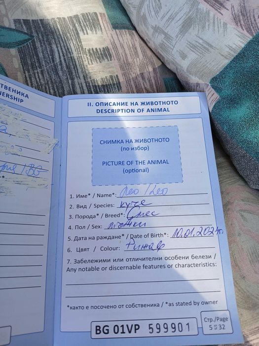 Подарявам мъжко куче