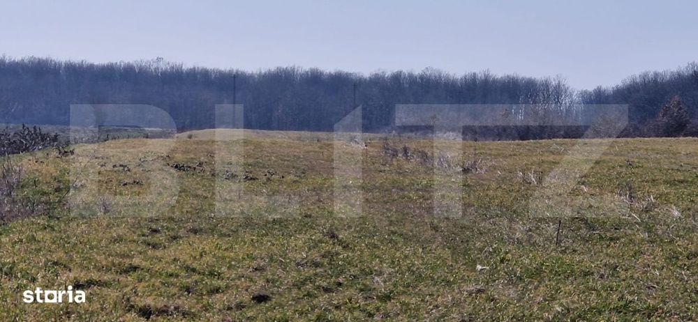 Teren intravilan, 10000 mp, zona Robanesti