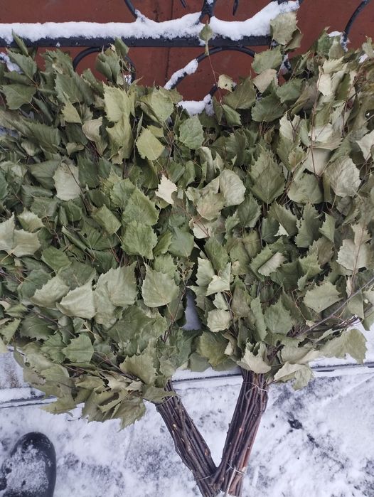 Продам Берёзовые веники