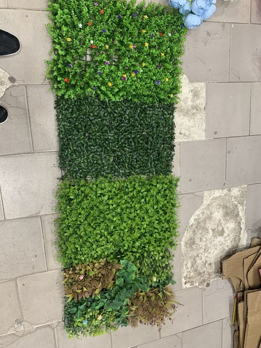 Декоративные короя мукунем