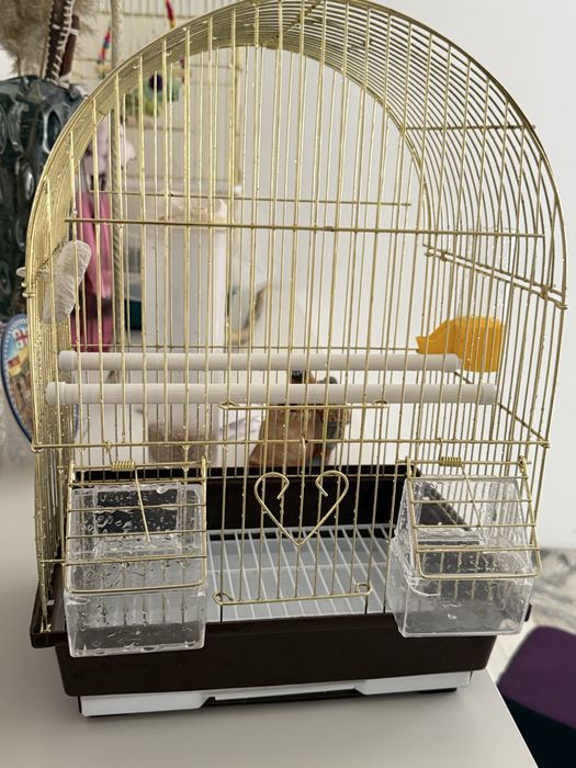 Клетка для попугаев