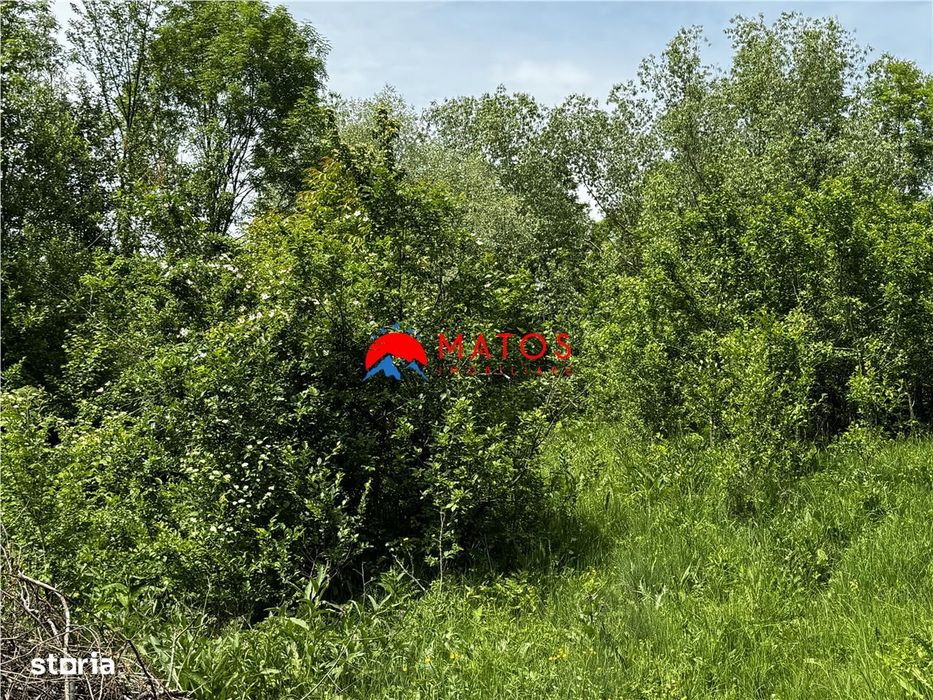 Teren intravilan 1.300 mp în Cornu de Jos, Prahova – zona linistita, u