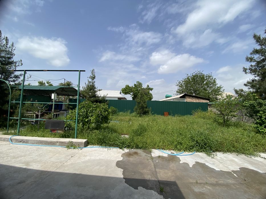 Дача Нурафшон Ташморе оркаси тойтепадан утганда