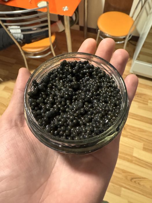 Icre negre calitate superioara pret mic ( caviar)