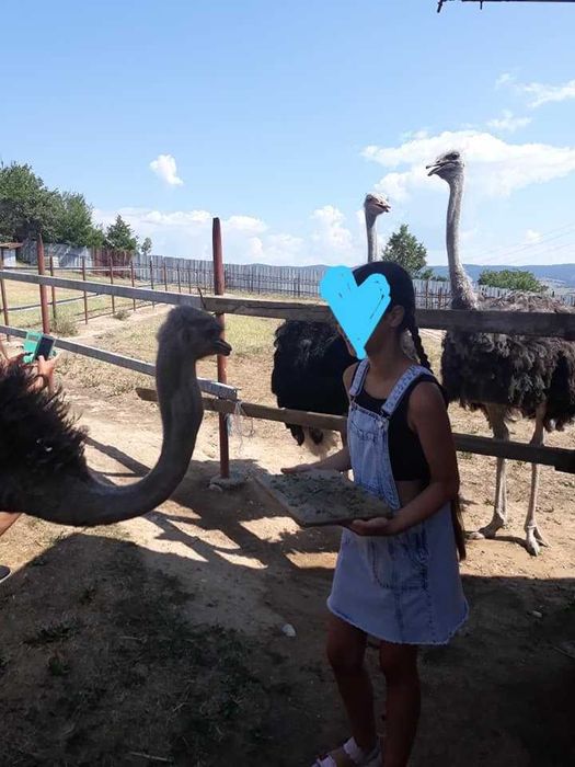 Дънково сукманче и боди Zara