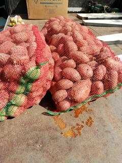 Cartofi consum alb și roșu