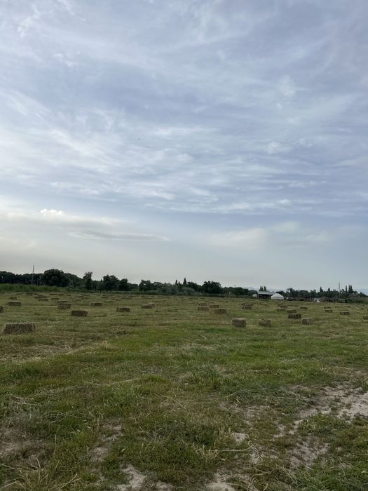 800 штук сатылады село казакстан