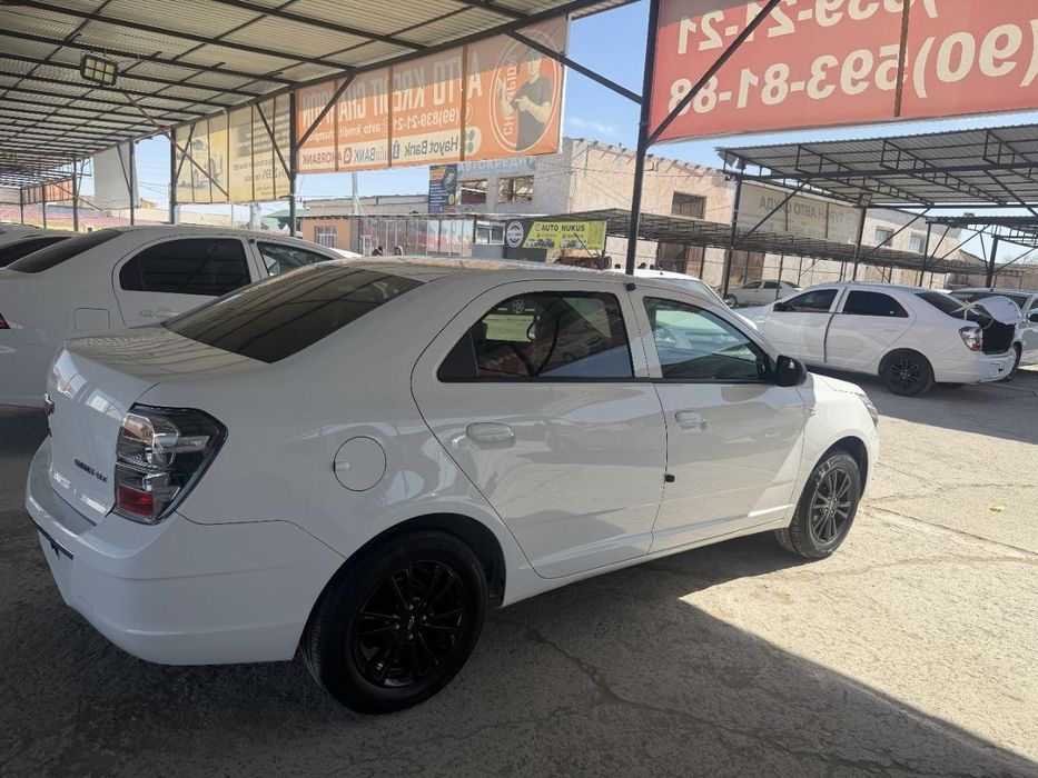 Ковалт Миднайт 2025