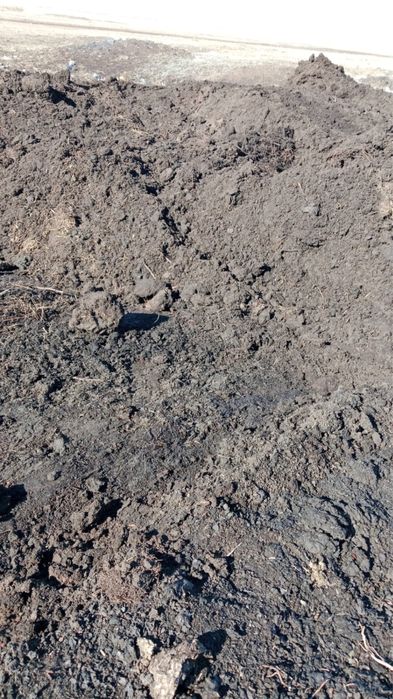 Перегной конский и коровий