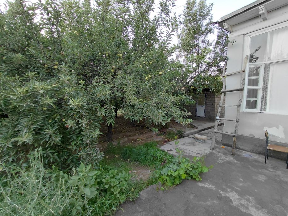 Ховли кук терак генералда