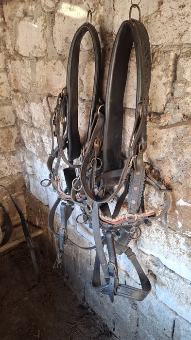 Vand o pereche de hamuri pentru ponei