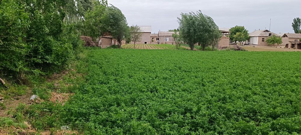 Зудлик билан мустахкам курилган Ховли уй сотилади.