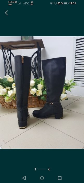 Демисезонные сапоги Basconi