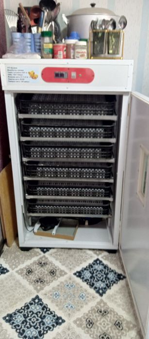 Inkubator  yangi