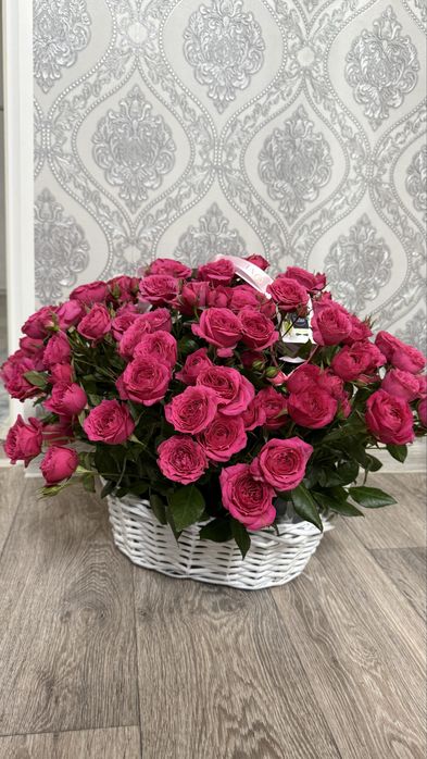 Цветы/Гүлдер Жаңаөзен