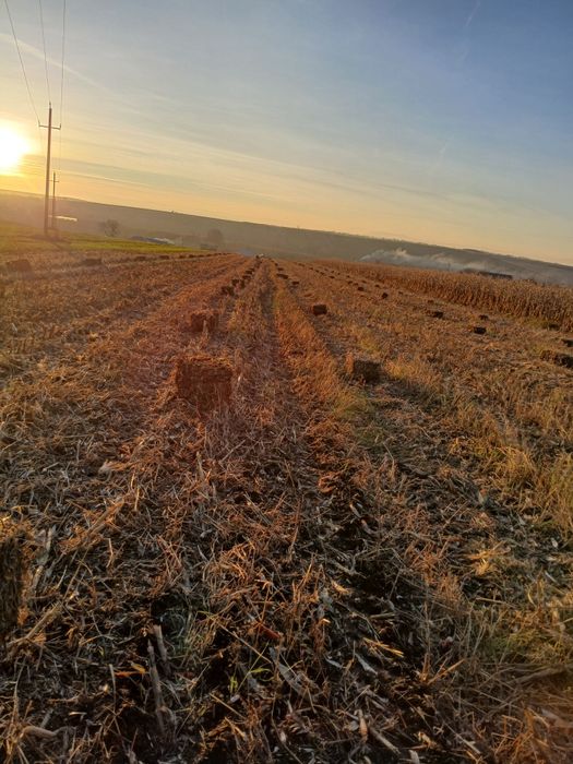 Vând baloti coceni / ciocani