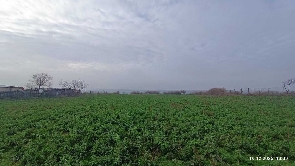 Teren pretabil Investitie in Comuna Daieni Bratul Macin Dunarea Veche