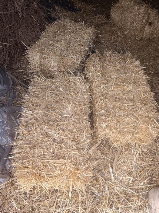 Somon pres sotiladi (boʻkada)