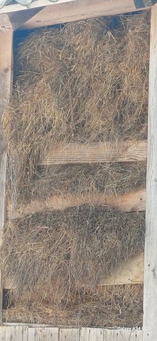 Vând otavă este în fânar