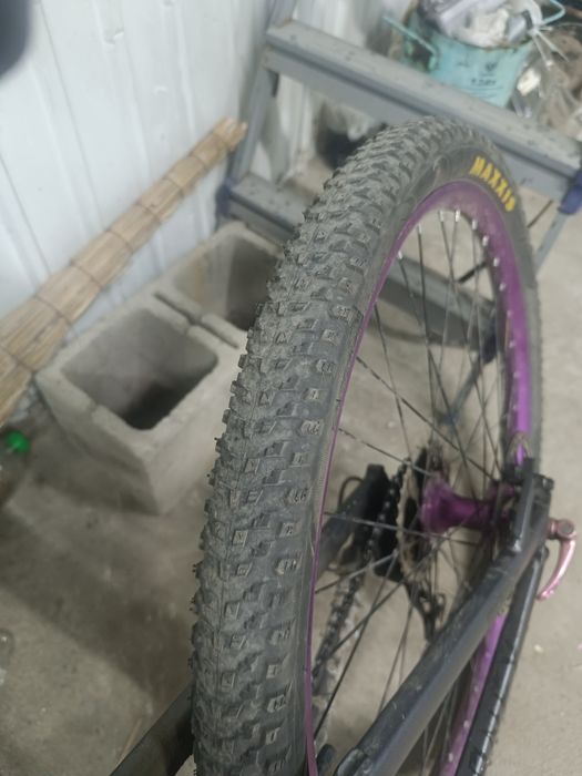 Продам Maxxis pace