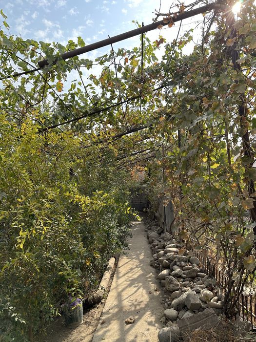 Дачный участок 9.6 соток