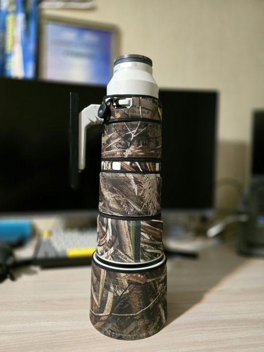 Sony FE 200-600mm f5.6-6.3 G OSS
