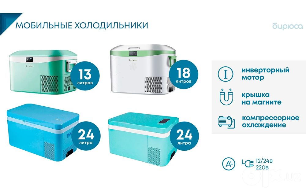 Автохолодильник компрессорный инверторный Бирюса