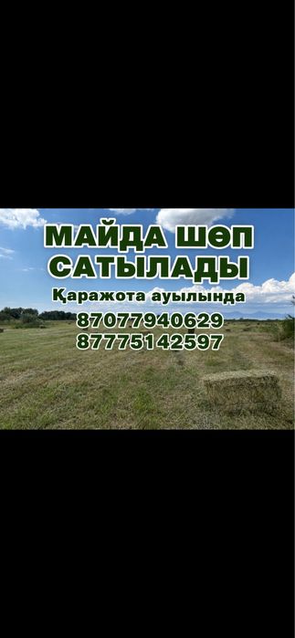Сено тюки в чилике