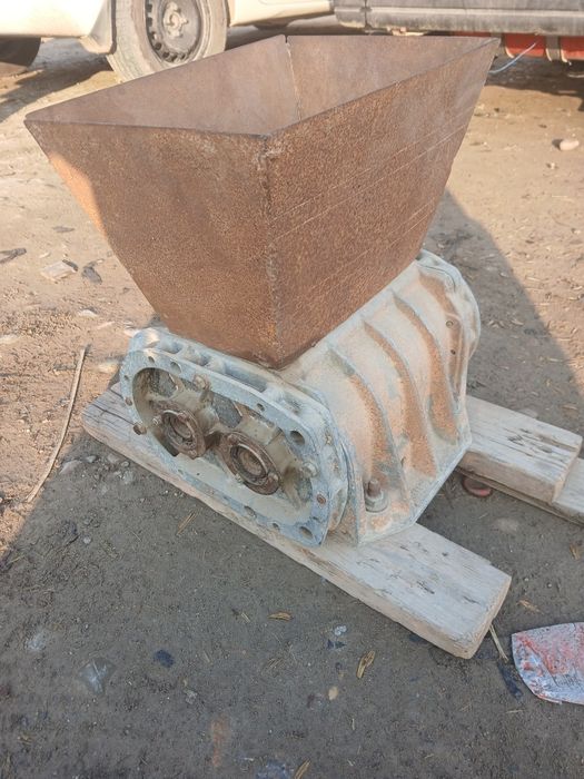 Узум янчигич вено