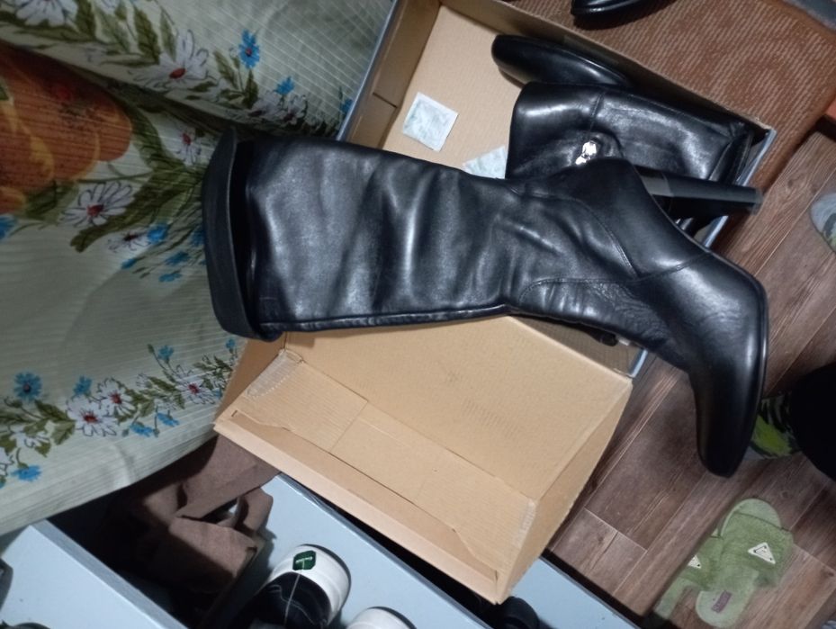 Сапоги женские. Осень