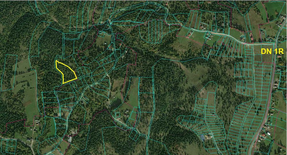 Teren extravilan de vanzare in Calatele padure suprafata 6950mp