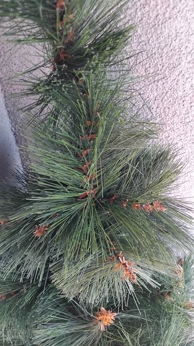 Жилкова елха 120см