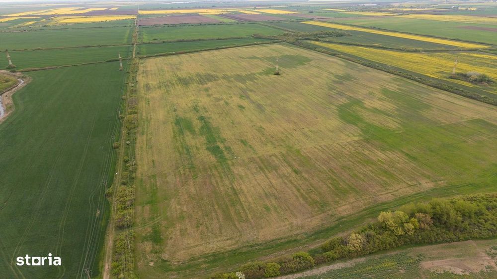Teren investițional strategic 44.700 mp Arad Vest
