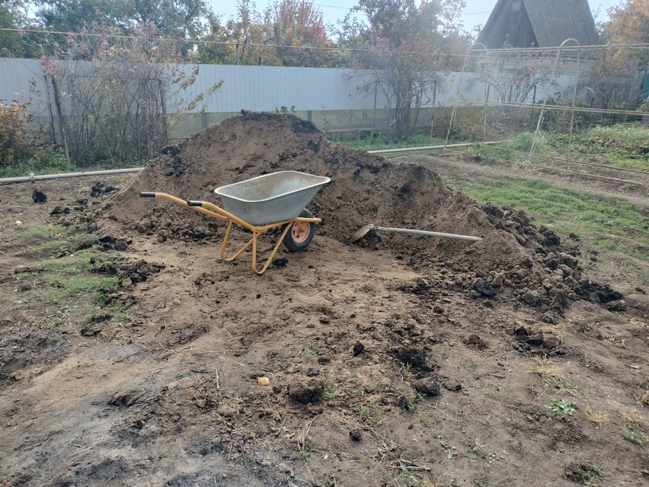 Оказываю разные виды услуг