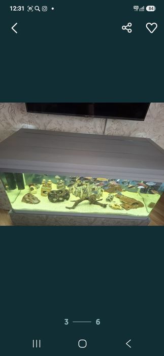 Срочно продам  все аквариумы