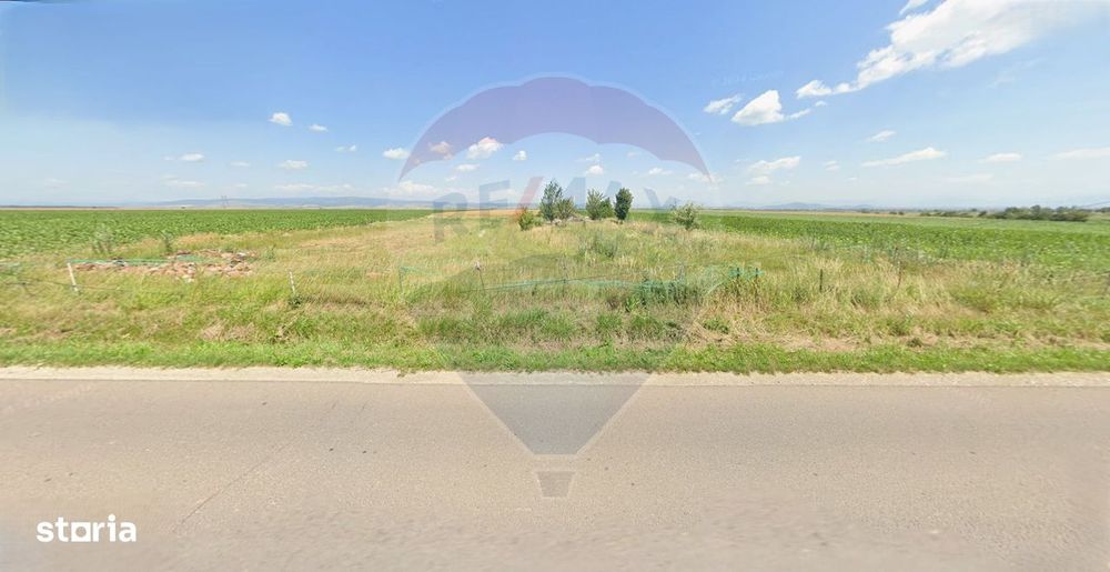 Teren extravilan 2 parcele de 9.750 mp - Satul Nou, comuna Hălchiu