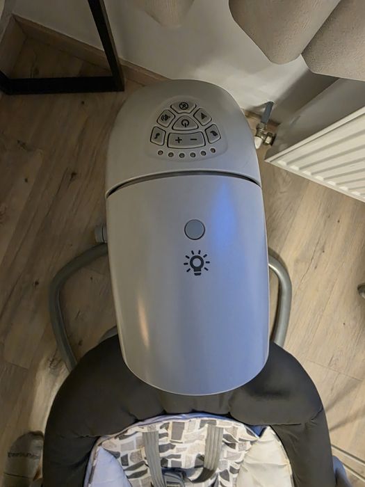 Leagan si balansoar pentru copii Joie Serina 2 in 1