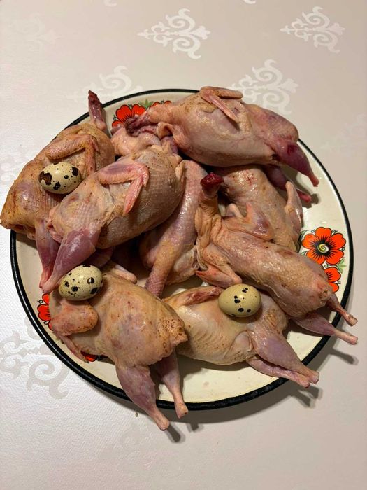 Продам мясо перепелов