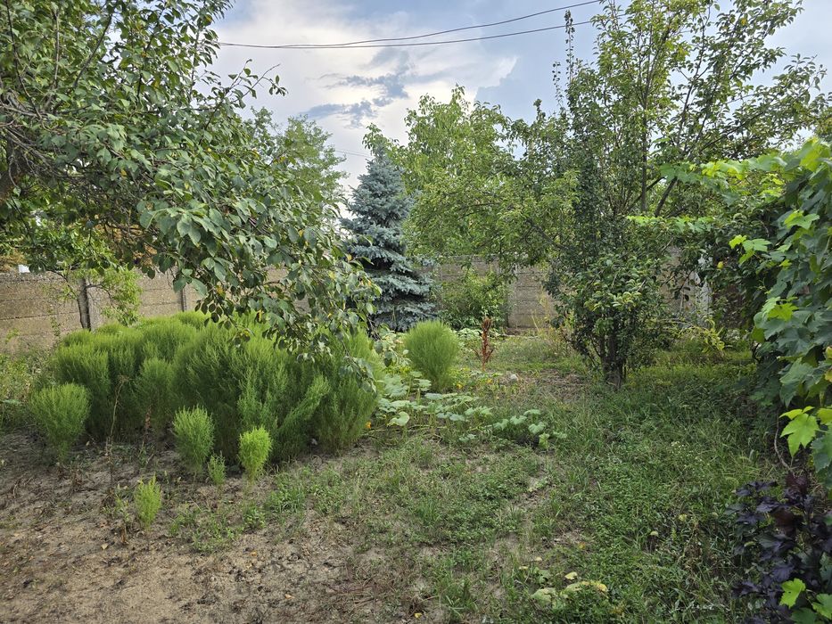 Casă de vânzare Boiu, Bihor